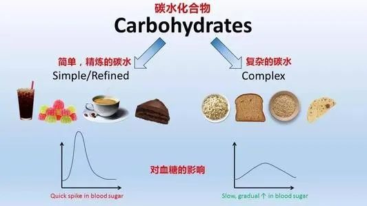 中鏈甘油三酯（MTC）是如何給人體充電加油的？