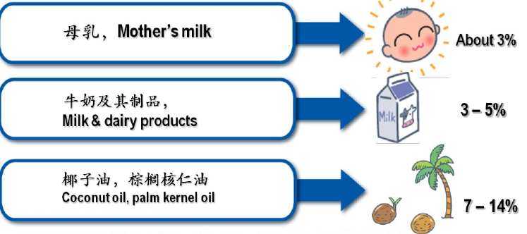 中鏈甘油三酯（MTC）是如何給人體充電加油的？