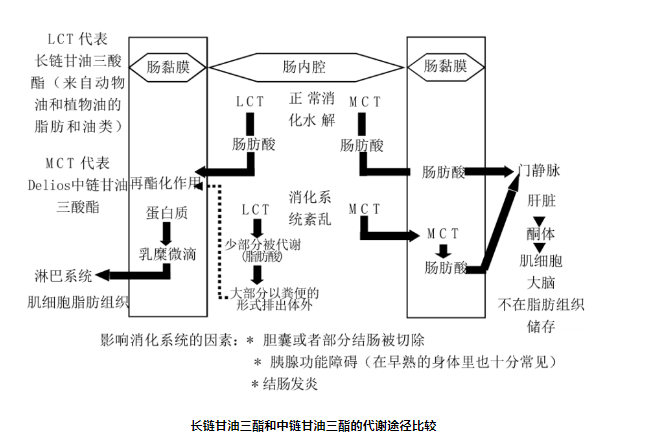 微信截圖_20220216095559.png