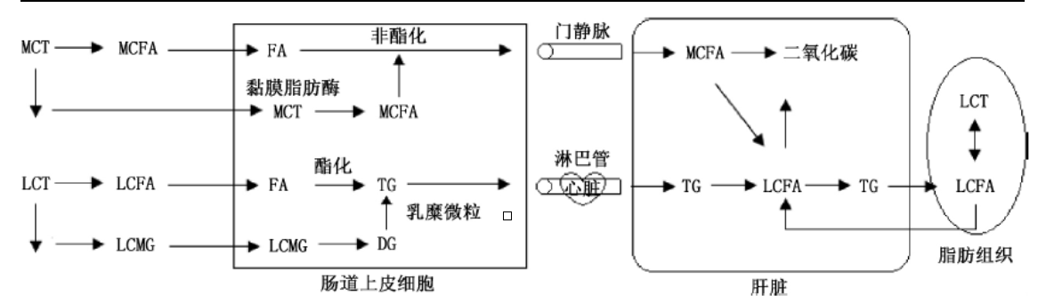 微信截圖_20220414181247.png